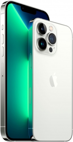 Apple iPhone 13 Pro Max, 256 ГБ, Серебристый фото 4